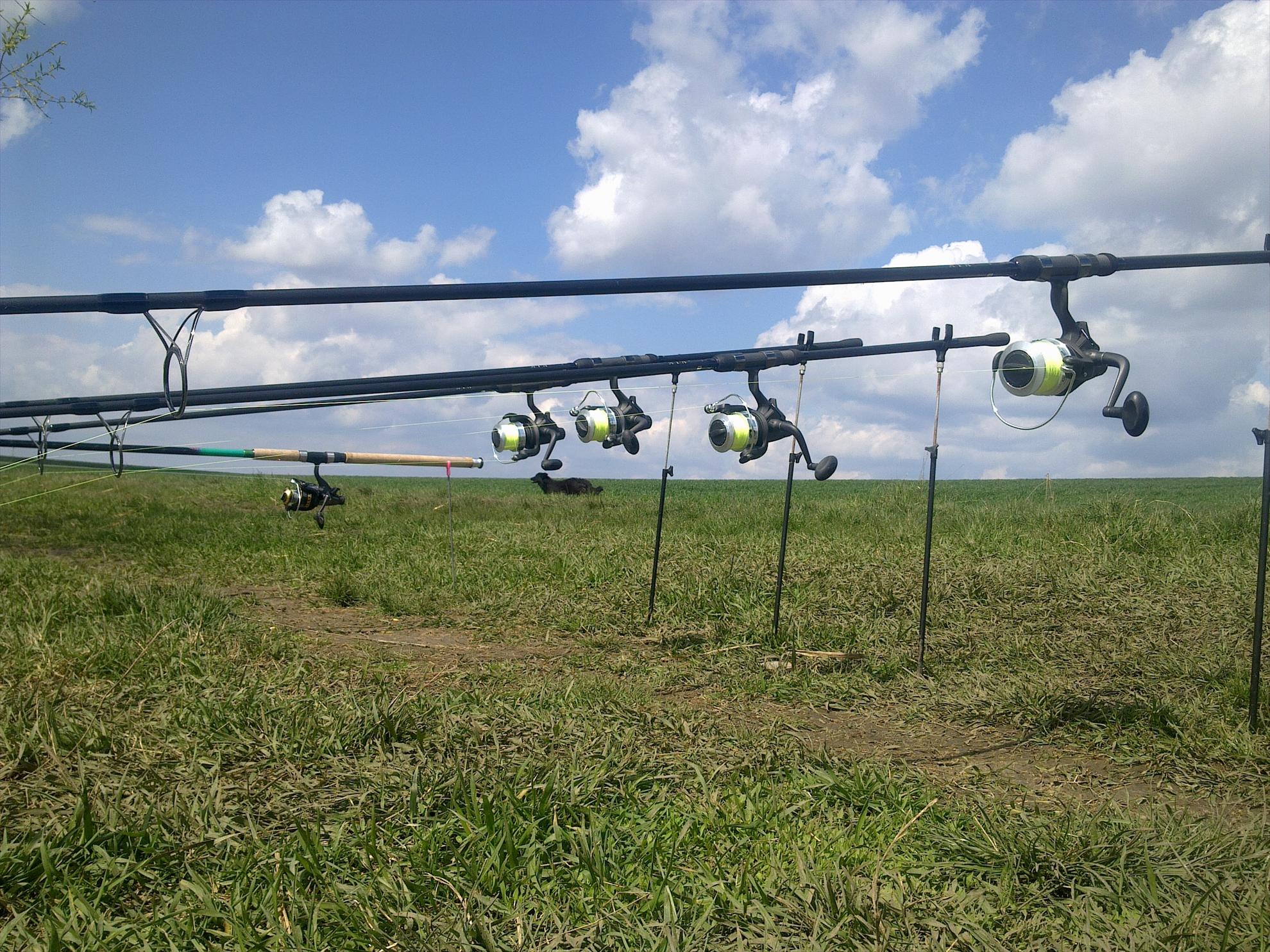 Diverse - 11042013194.jpg